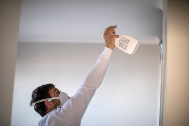 Best Professional Mold Removal  in Madrid, IA