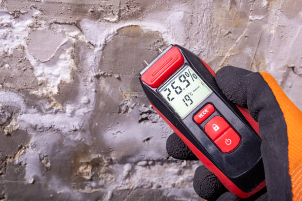 Best Home Mold Removal  in Madrid, IA