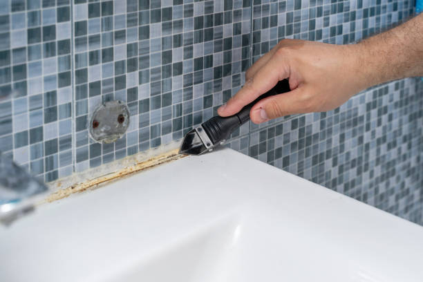 Best Black Mold Removal  in Madrid, IA