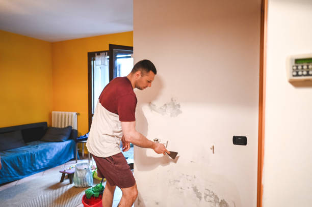 Best Water Damage Restoration  in Madrid, IA
